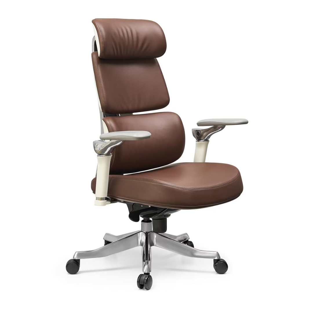 Ergonomic Chair: All-Round Support to Rescue "Long-Sitting Groups"