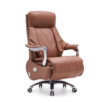 Elysee Electric Chair:Convenient, Comfortable, Enjoy Extraordinary Seating